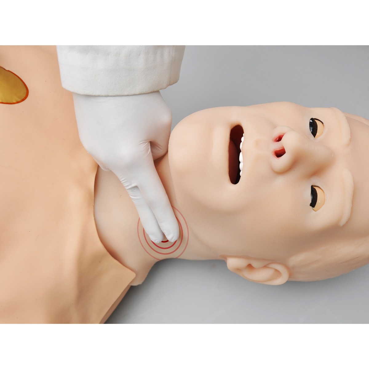 CPR+D Trainer