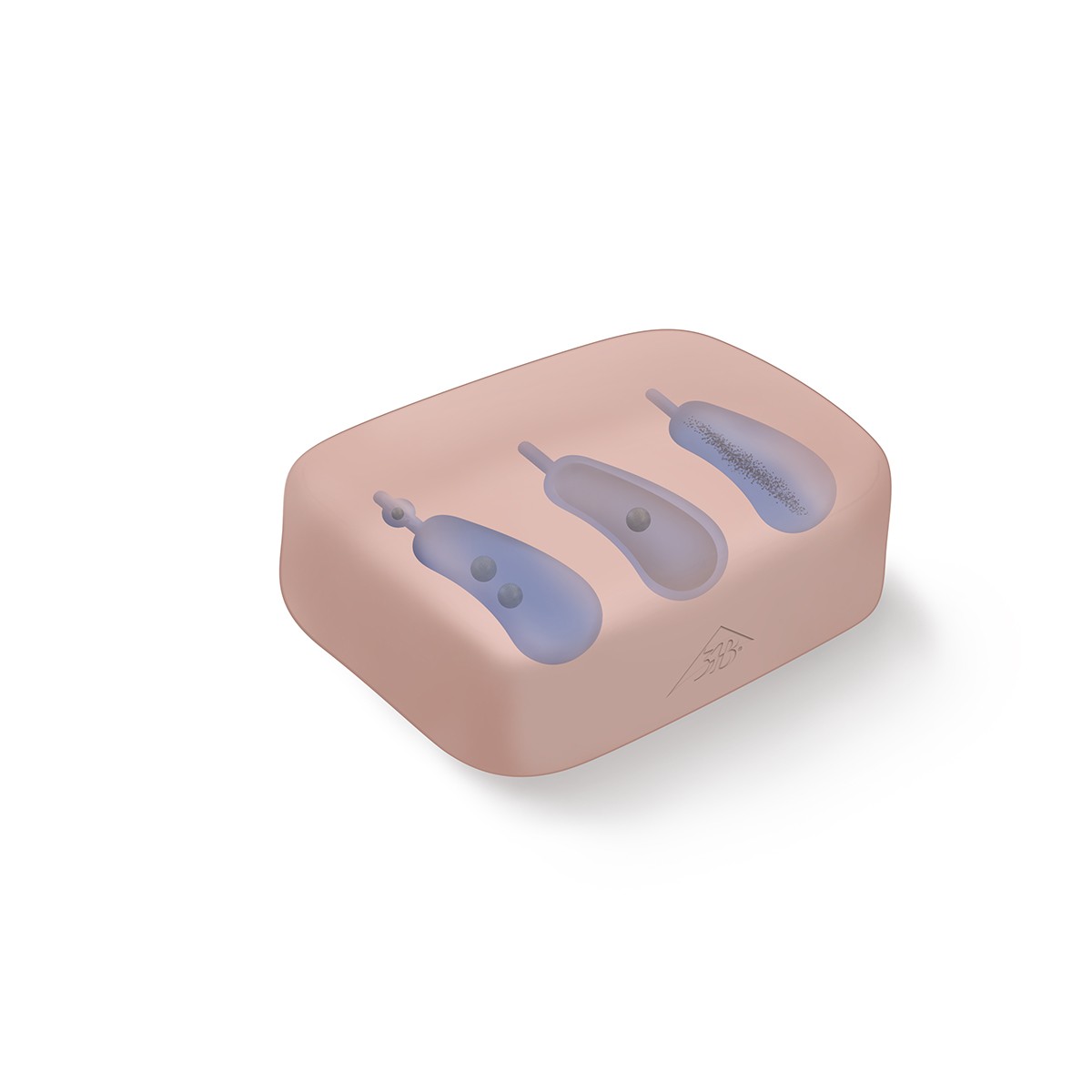 SONOtrain™​ Ultraschall Gallenblasenmodell