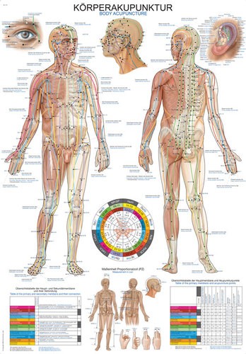 Lehrtafel „Körperakupunktur“