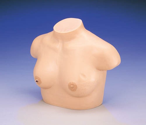 Brustkrebs-Tastmodell