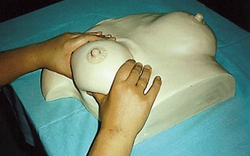 Brustpflege und -massagemodell