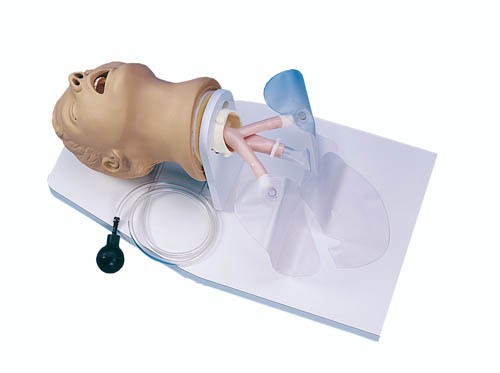 Intubationstrainer