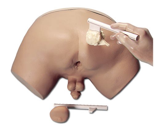 Prostatauntersuchungs-Simulator