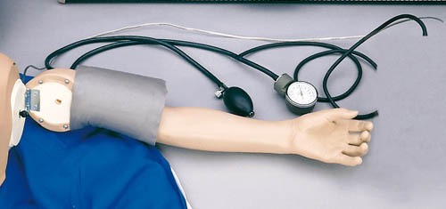 Blutdrucksimulator für Wiederbelebungspuppe Erwachsener