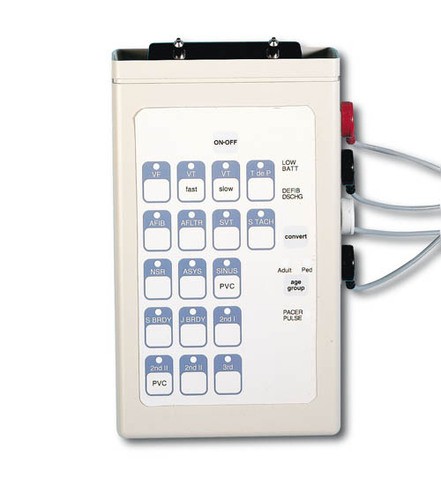 Interaktiver EKG-Simulator für Wiederbelebungspuppe Erwachsener