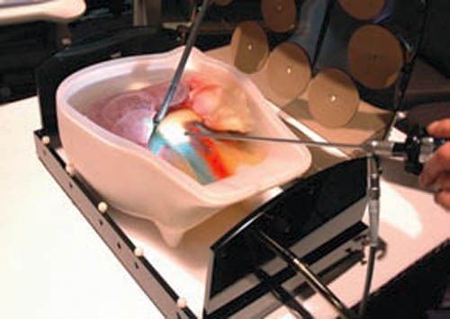 Ultraschall-Modell für Sonografie