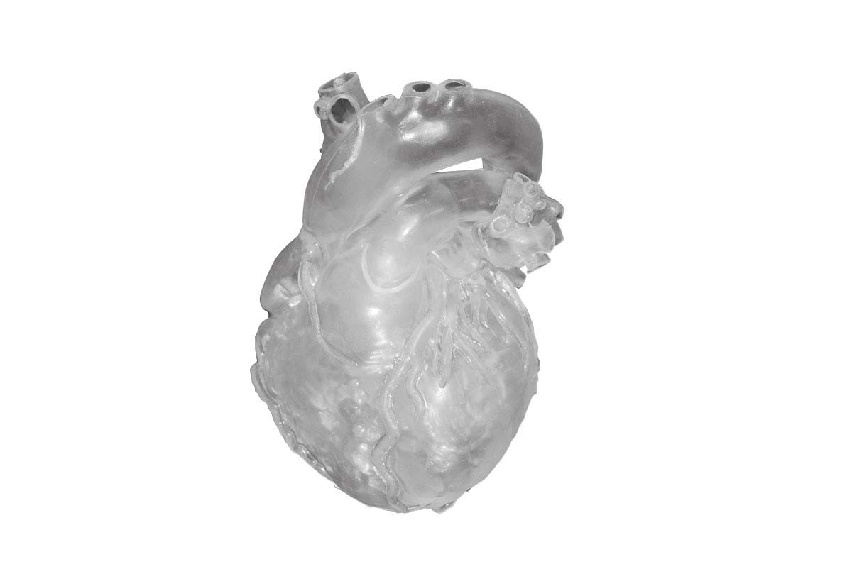 Herz Dicom komplex, transparent 2