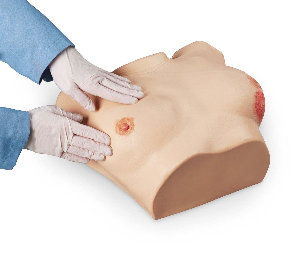 Brustuntersuchungssimulator, erweiterte Version 1