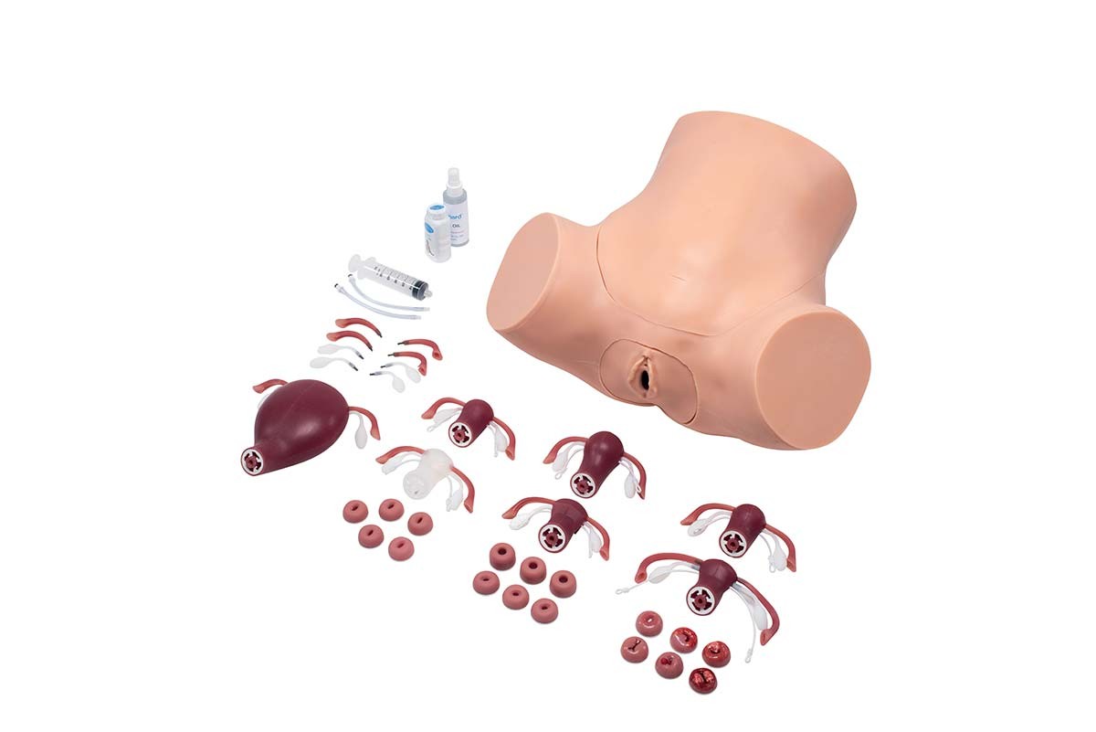 Vulva mit intergrierter Fistel für ZOE Gynäkologie-Übungsmodell 1