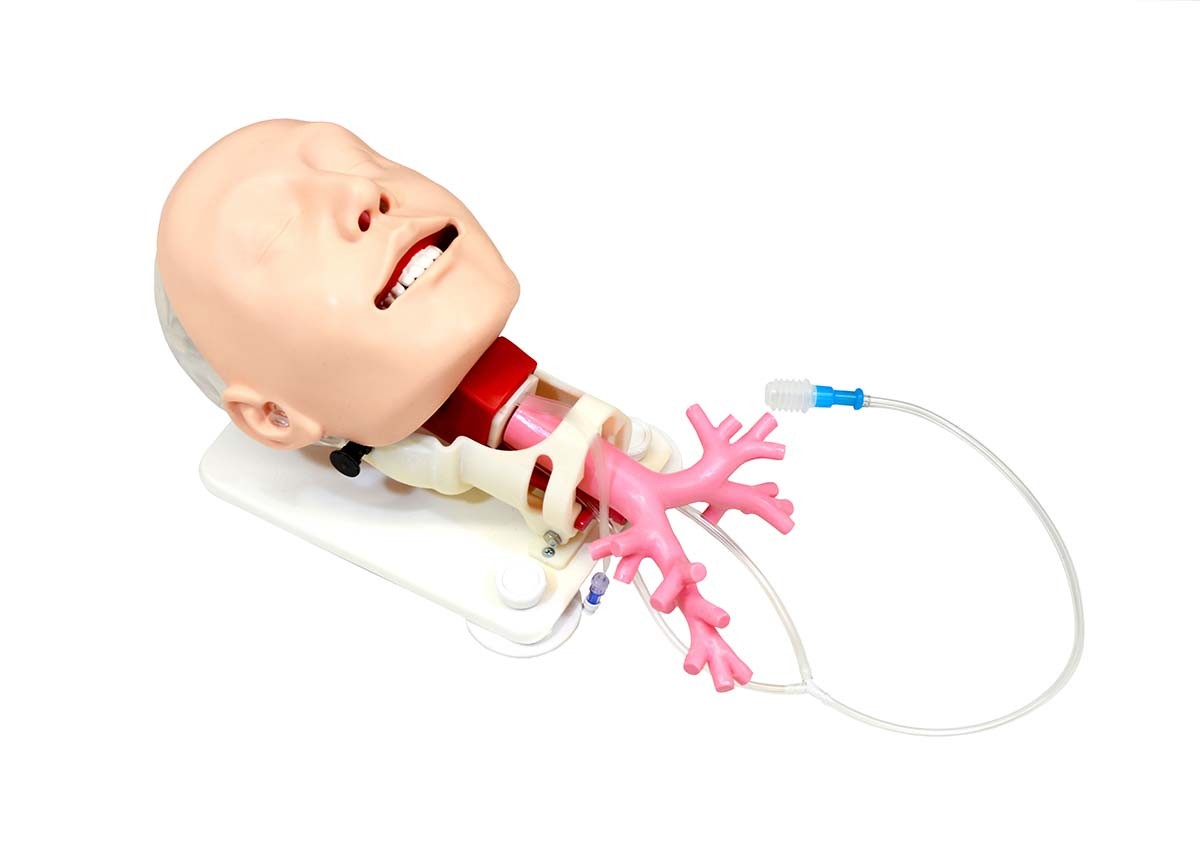 Simulator für schwieriges Atemwegsmanagement für die Fiberbronchosskopie 1