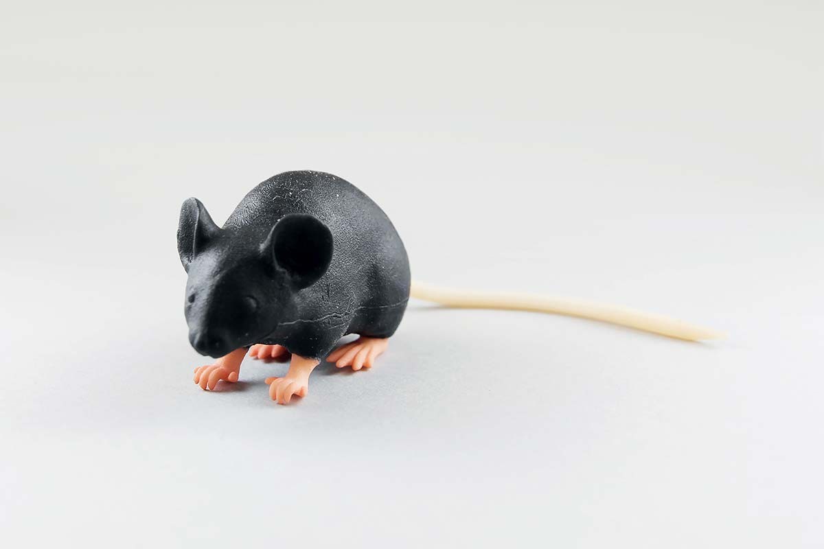 Mimicky Mouse 1