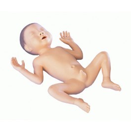 Frühgeborenen-Modell, 30 Wochen alt