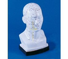 Chinesischer Akupunkturkopf