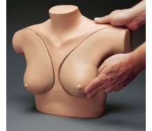 Übungsmodell Brustuntersuchung