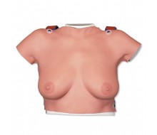 Brust-Tastmodell zum Umhängen