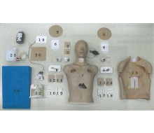 Halsabdeckung, Haut ohne Schnitt, 10er Pack für Thorax-Trauma-Simulator