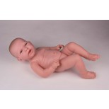 vEltern-Übungsbaby, weiblich, helle Hautfarbe, 2,4 kg 1