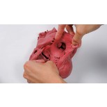 Herz Dicom komplex, rot 2