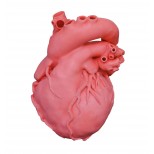 Herz Dicom komplex, rot 1