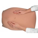 Modellset abdominale Palpation 3