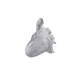 Reproduktion eines echten Herzens, transparent 1
