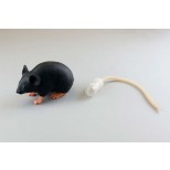 Mimicky Mouse 2