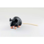 Mimicky Mouse 1